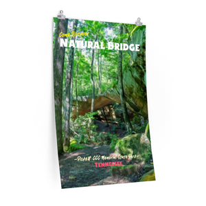 Pickett State Park Natural Bridge Poster