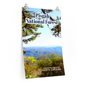 Pisgah National Forest North Carolina Poster 