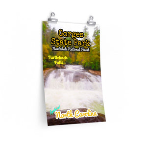 Gorges State Park Turtleback Falls Poster