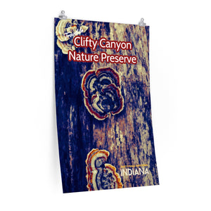 Clifty Canyon Nature Preserve Poster